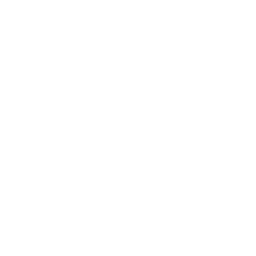 JS